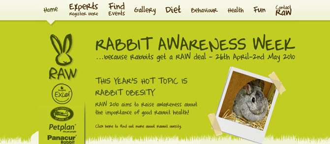 Rabbit Awareness Week