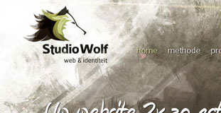 Studio Wolf